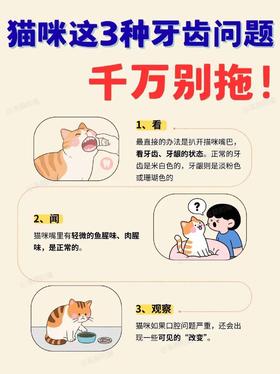 猫咪这3种牙齿问题，千万别拖！！