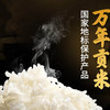 万年贡鸿运万年贡米 江西大米 地标产品 长粒丝苗米 10斤 新米 /粮油调味 /米 /丝苗米 商品缩略图4