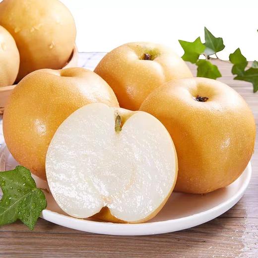 莱阳正宗秋月梨礼盒装产地直发 商品图1