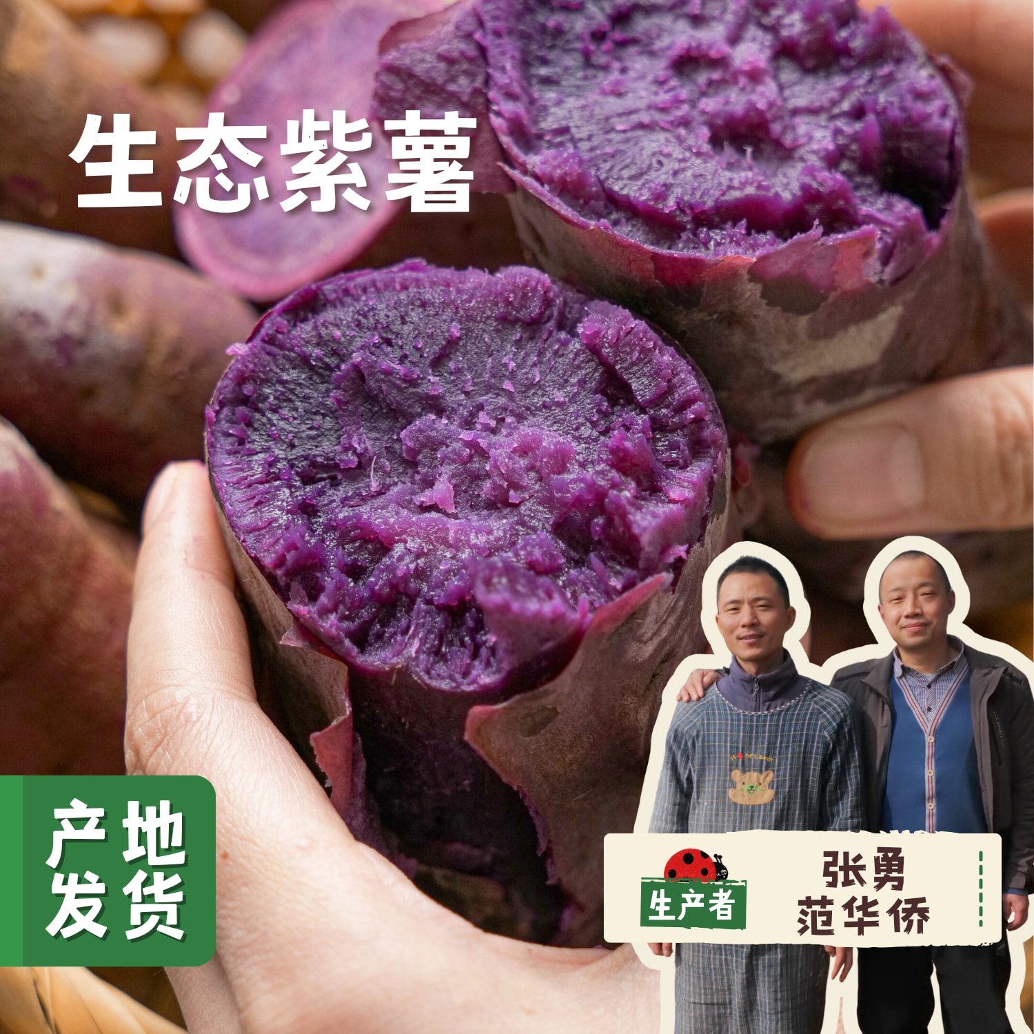 生态紫薯 5斤装 | 合作农友生产，产自四川简阳，生产者：范华侨/张勇 *【公平贸易农人定价】