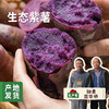 生态紫薯 5斤装 | 合作农友生产，产自四川简阳，生产者：范华侨/张勇 *【公平贸易农人定价】 商品缩略图0