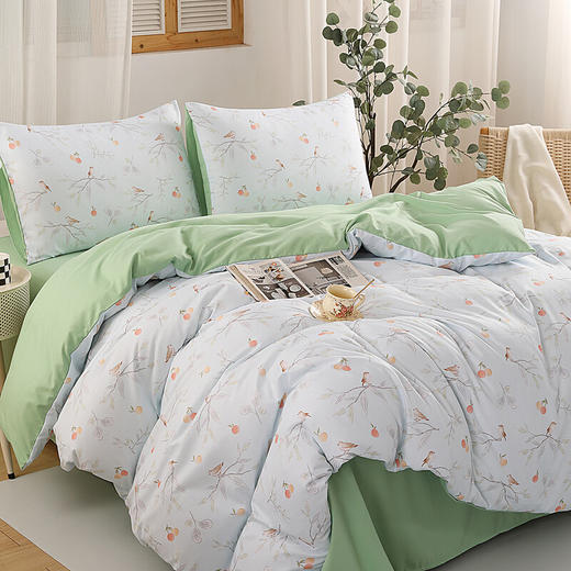 海螺林梢私语四件套JYJT-03A 商品图4