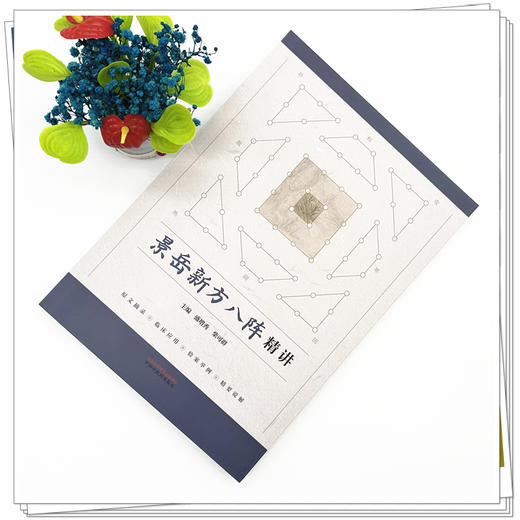 景岳新方八阵精讲 盛增秀 柴可群 主编 中国中医药出版社 中医临床 医案 书籍 商品图1