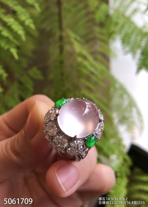 玻璃种粉紫罗兰蛋面戒指【5061709】具体价格微信咨询 商品图3