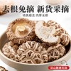 在菌屋 云南农家椴木大花菇（直径6-8cm） 300g/袋 肉质厚实 口感鲜香嫩滑 菇香浓郁 商品缩略图4