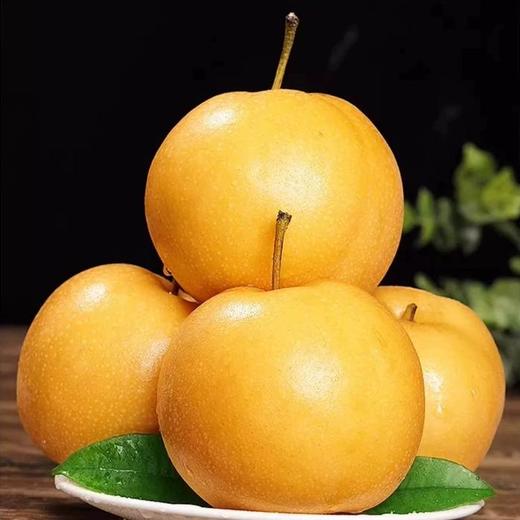 正宗秋月梨纯甜无渣25年新梨 商品图3