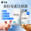 华畜泰拉霉素注射液猪牛羊咳喘胸膜肺炎呼吸道支原体正品国标兽药 商品缩略图0