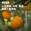 一口一颗 爆汁清甜 | 生态种植西昌小番茄/小西红柿 青霞/香芒皇后 2.8斤精品礼盒装 商品缩略图3