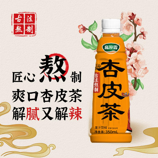 【自营】内蒙古高原 杏皮茶 350ml*5 NM 商品图2