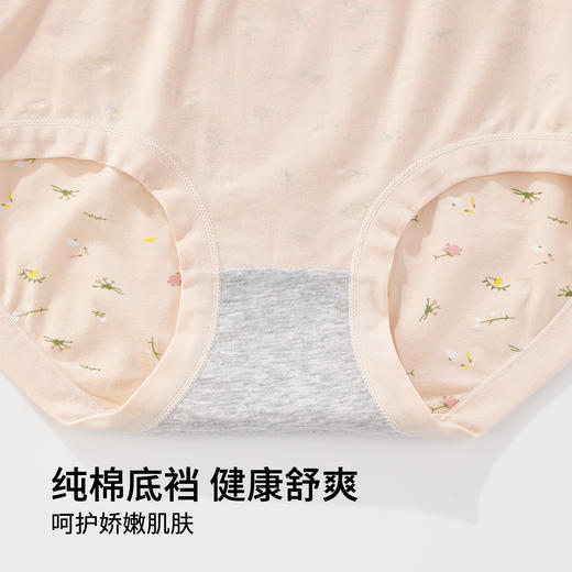 雅黛俪女士内裤柔软舒适透气纯棉裆底三角裤头 商品图4