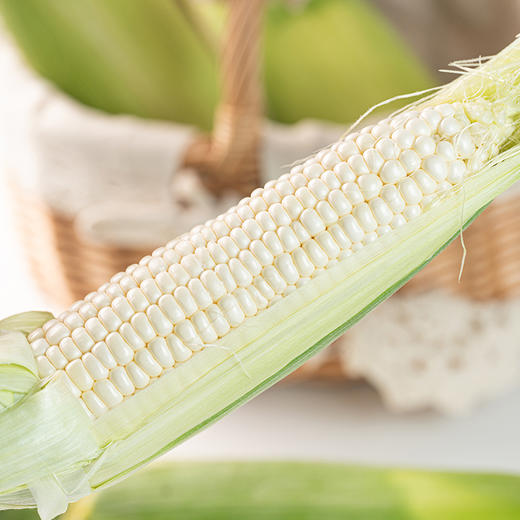 牛奶水果玉米（发京东）#可生吃，细腻无渣爆汁，18度甜，非转基因，扒皮就能直接吃的水果玉米，一口沦陷 商品图6