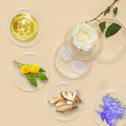 白玫瑰面膜 商品图2