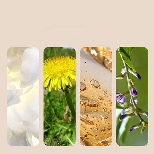 白玫瑰面膜 商品图1