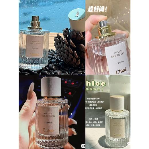 蔻家王牌香 商品图9