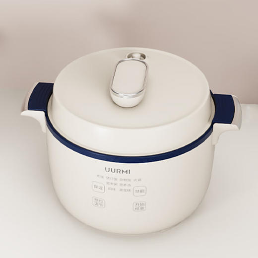 德国UURMI悠米 微压智能电饭煲 UM-FB003 商品图2