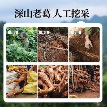 璞匠深山老葛食用葛根粉320g 营养代餐即冲  天然谷物代餐粉早餐葛粉 商品图2