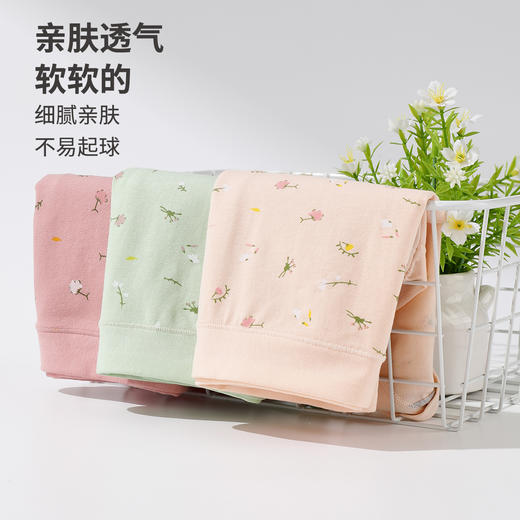 雅黛俪女士内裤柔软舒适透气纯棉裆底三角裤头 商品图6