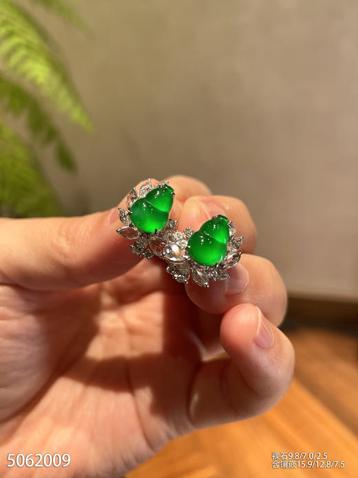 5062009，葫芦耳钉。具体价格微信咨询 商品图0