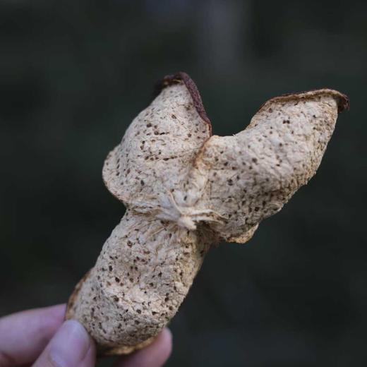 【侨宝  岭南印象陈皮】源自新会核心产区，外皮自然色泽，纹理清晰，内囊质地蓬松，陈香裹挟着淡淡果香，茶汤金黄透亮，入口醇厚顺滑，回甘迅速且悠长。新款礼盒，净含量100g，江浙沪皖顺丰包邮~ 商品图4