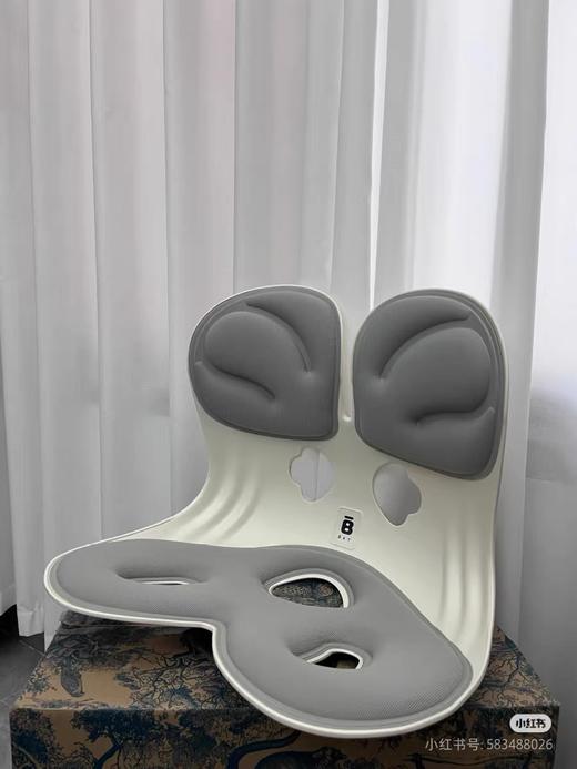 B&K&T护腰坐垫久坐神器座姿椅 商品图6