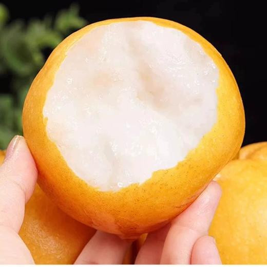 正宗秋月梨纯甜无渣25年新梨 商品图4