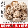 在菌屋 云南农家椴木大花菇（直径6-8cm） 300g/袋 肉质厚实 口感鲜香嫩滑 菇香浓郁 商品缩略图0