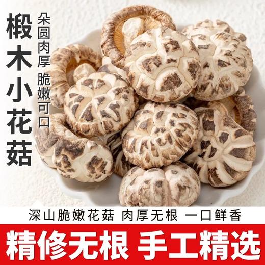 在菌屋 云南农家椴木大花菇（直径6-8cm） 300g/袋 肉质厚实 口感鲜香嫩滑 菇香浓郁 商品图0