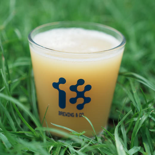 拾捌精酿 凌波门大罐装 双倍干投浑浊ipa印度淡色艾尔 国产精酿啤酒 500ML 商品图3