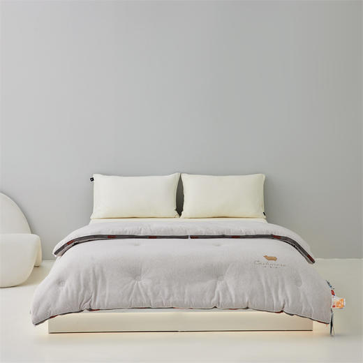 顶柔 蚕丝热力羊羊暖暖被-BX2241 商品图3