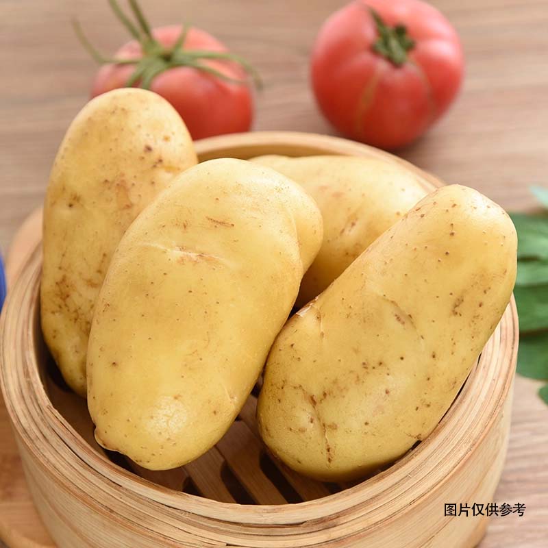 精品荷兰土豆约1.95-2.05kg/份
