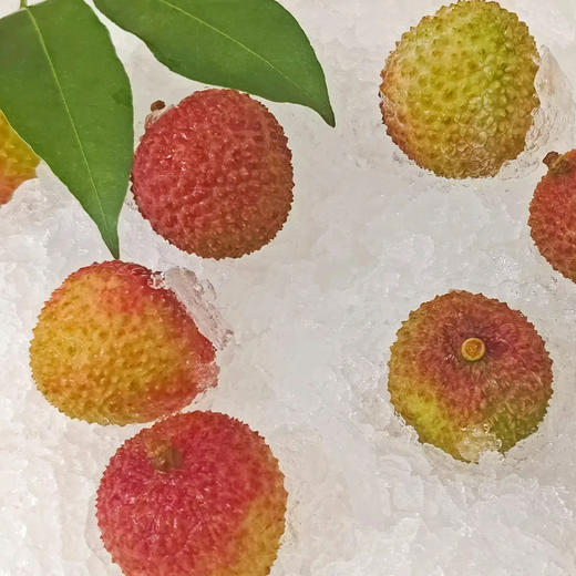 冻眠鲜荔枝（妃子笑） 商品图2