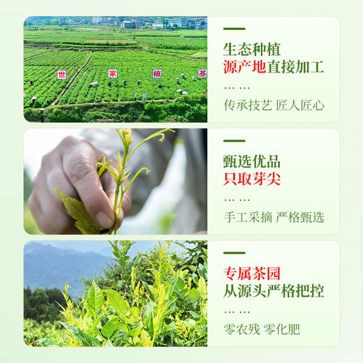 茶马世家 恩施藤茶  来凤一级 含硒袋装100g 商品图4