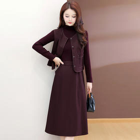 QYMXQD-54C2507-2025年春秋季新款时尚马甲套装女士中长款长袖连衣裙两件套