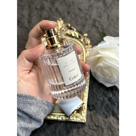 蔻家王牌香 商品图2