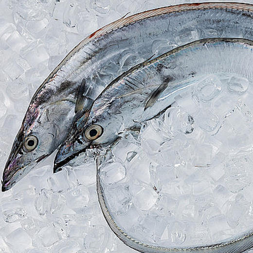 【鑫鲜礼】 舟山带鱼礼盒礼券（仅包含卡） 商品图2