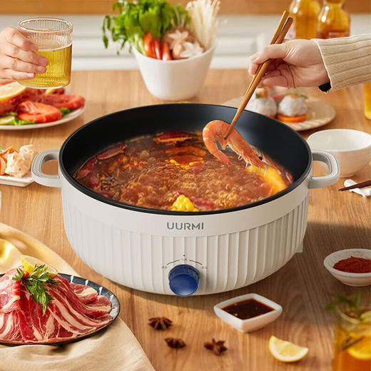 德国UURMI悠米 多功能电火锅 UM-ZG002 商品图1
