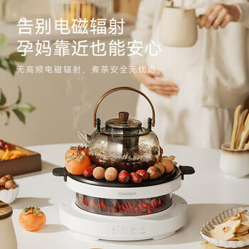 GLASSLOCK盖朗仿真碳火围炉煮茶套装春季户外露营野餐烧水煮茶炉全玻璃0胶水养生花茶壶恒温煮茶器电陶炉 商品图3