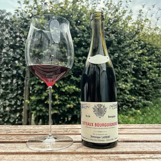 比肩DRC的金丘王者！百元王炸 多米尼克劳伦酒庄勃艮第山丘红葡萄酒 Dominique Laurent Coteaux Bourguignons 2022 商品图1