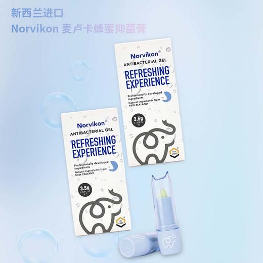 【新西兰进口 招牌鼻膏】诺维肯苍耳油麦卢卡蜂蜜膏 抑菌滋润更护鼻 植物成分膏体更易涂抹 形成保护屏障 持久防护 商品图1