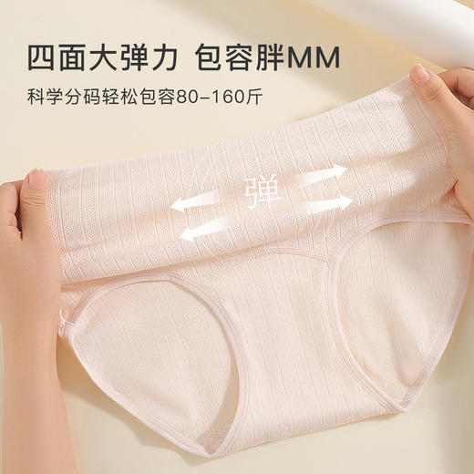 【3条装】抗HPV10A抑菌内裤女大码高腰收腹透气纯棉加长裆C-12高腰提花内裤 商品图9