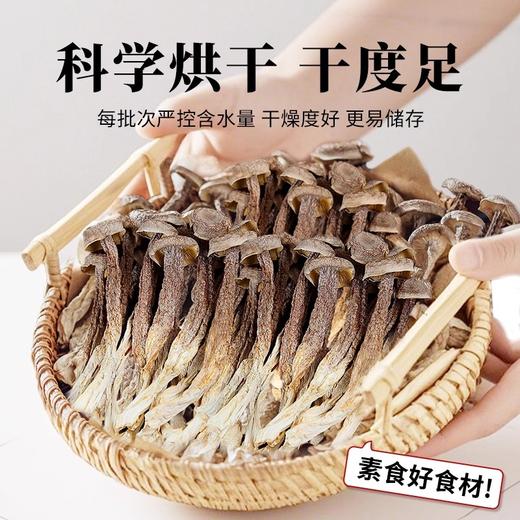 在菌屋 特级鹿茸菇200g/罐 头茬嫩菇 口感脆嫩爽滑 干度足易保存 商品图2