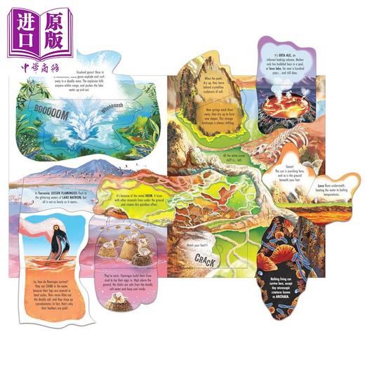 【中商原版】尤斯伯恩看里面揭秘系列 狂野地带 See Inside Wild Places 英文原版 儿童纸板书 翻页书 科普绘本读物 进口童书 商品图4