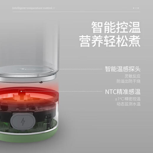 morphy richards摩飞养生壶MR6081蓝色 商品图2