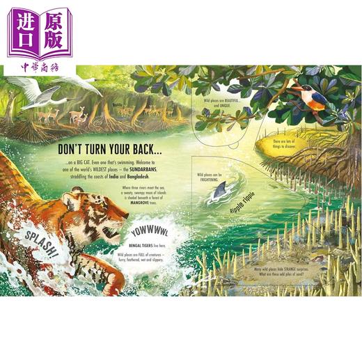 【中商原版】尤斯伯恩看里面揭秘系列 狂野地带 See Inside Wild Places 英文原版 儿童纸板书 翻页书 科普绘本读物 进口童书 商品图2