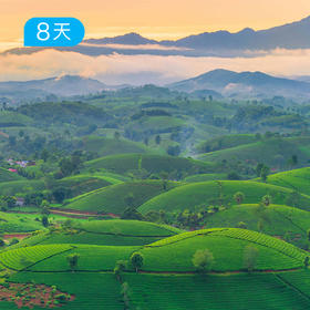 锡兰明珠丨斯里兰卡经典环线  徒步游猎追鲸 赏热带岛屿的落日熔金【签证免费】 8日