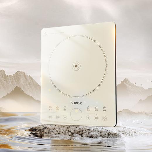 【苏泊尔电磁炉】大火力炒菜火锅 一体多功能智能定时电磁灶 C22-IA833  商品图1