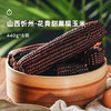 企鹅市集|山西农科院有机花青甜黑糯玉米10根装 乌粒金花青素 香甜软糯 商品缩略图1