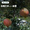 【顺丰】可以喝的“红宝石” | 四川会理软籽石榴 肉汁率达91%！中秋送礼 家庭装/礼盒装 多规格可选 [72小时发货] 商品缩略图2