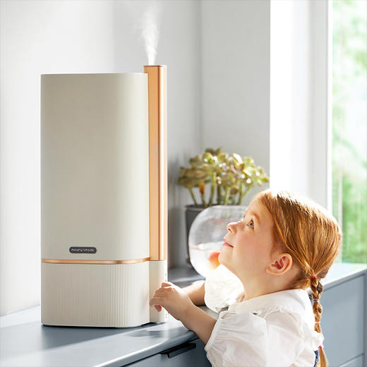 morphy richards摩飞有雾加湿器MR2082白色 商品图4