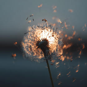 未来学院项目式学习（PBL）课程资源包